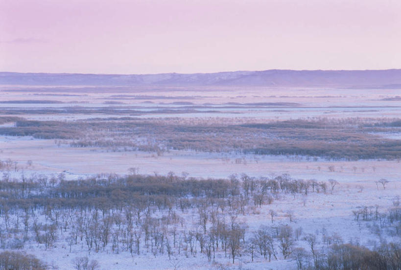 无人,横图,全景,俯视,航拍,室外,白天,旅游,度假,美景,树林,天际线,雪,植物,大雪,北海道,日本,亚洲,朦胧,模糊,地平线,积雪,景观,雪景,冬季,冬天,辽阔,地面,娱乐,树,树木,蓝色,绿色,蓝天,天空,自然,天,享受,休闲,景色,放松,寒冷,生长,晴朗,成长,一望无际,鸟瞰,自然风光,延伸,东亚,万里无云,日本国,天地相交,北海道地方,北海道岛,严寒,晴空,晴空万里,彩图,高角度拍摄