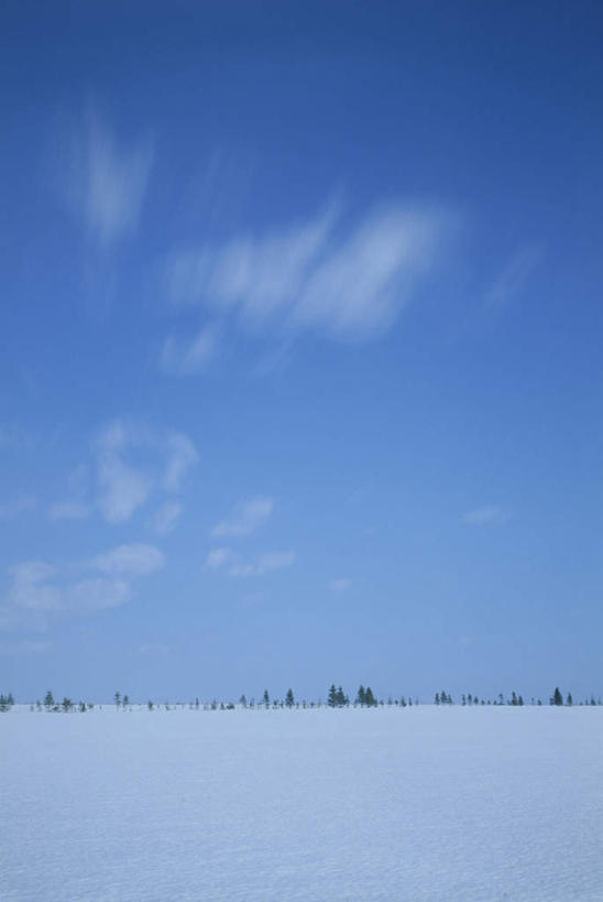 无人,竖图,全景,室外,白天,正面,旅游,度假,美景,树林,天际线,雪,植物,大雪,北海道,日本,亚洲,一排,许多,朦胧,模糊,整齐,地平线,积雪,景观,雪景,云,云朵,冬季,冬天,辽阔,地面,云彩,娱乐,树,树木,排列,蓝色,绿色,白云,蓝天,天空,自然,天,享受,休闲,景色,放松,寒冷,生长,晴朗,成长,一望无际,队列,自然风光,延伸,东亚,日本国,天地相交,北海道地方,北海道岛,严寒,晴空,彩图