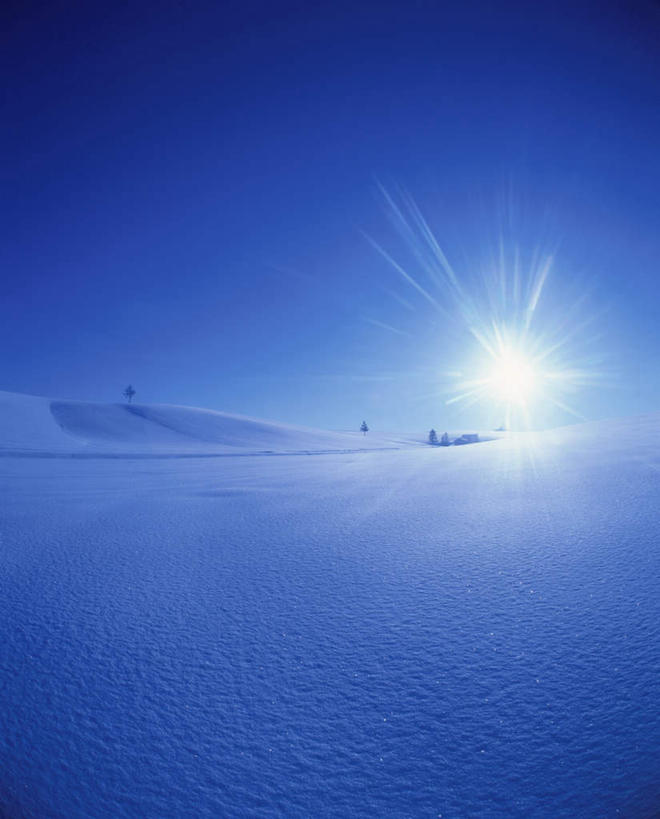 无人,竖图,全景,室外,白天,正面,旅游,度假,日出,美景,树林,太阳,天际线,雪,植物,大雪,北海道,日本,亚洲,阴影,朦胧,模糊,光线,影子,地平线,积雪,景观,雪景,冬季,冬天,辽阔,地面,朝霞,晨曦,黎明,娱乐,树,树木,蓝色,绿色,蓝天,天空,阳光,自然,天,享受,休闲,景色,放松,寒冷,生长,晴朗,成长,一望无际,自然风光,延伸,东亚,万里无云,日本国,天地相交,北海道地方,北海道岛,严寒,朝阳,晴空,晴空万里,彩图,破晓