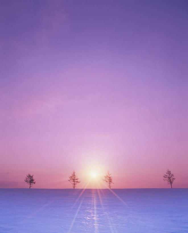 无人,竖图,全景,室外,白天,正面,旅游,度假,日出,美景,树林,太阳,天际线,雪,植物,大雪,北海道,日本,亚洲,朦胧,模糊,地平线,积雪,景观,雪景,云,云朵,冬季,冬天,辽阔,地面,朝霞,晨曦,黎明,云彩,娱乐,树,树木,蓝色,绿色,白云,蓝天,天空,阳光,自然,天,享受,休闲,景色,放松,寒冷,生长,晴朗,成长,一望无际,自然风光,延伸,东亚,日本国,天地相交,北海道地方,北海道岛,严寒,朝阳,晴空,彩图,破晓