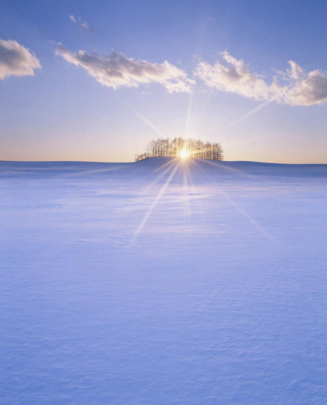 无人,竖图,全景,室外,白天,正面,旅游,度假,日出,美景,树林,太阳,天际线,雪,植物,大雪,北海道,日本,亚洲,阴影,朦胧,模糊,光线,影子,地平线,积雪,景观,雪景,云,云朵,冬季,冬天,辽阔,地面,朝霞,晨曦,黎明,云彩,娱乐,树,树木,蓝色,绿色,白云,蓝天,天空,阳光,自然,天,享受,休闲,景色,放松,寒冷,生长,晴朗,成长,一望无际,自然风光,延伸,东亚,日本国,天地相交,北海道地方,北海道岛,严寒,朝阳,晴空,彩图,破晓