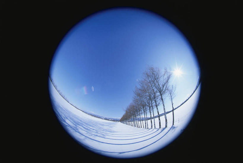 无人,横图,室外,白天,广角镜头,鱼眼镜头,仰视,旅游,度假,美景,树林,植物,北海道,日本,亚洲,一排,许多,阴影,黑色背景,朦胧,模糊,整齐,光线,圆形,影子,圆环,景观,云,云朵,云彩,娱乐,树,树木,排列,蓝色,绿色,白云,蓝天,天空,阳光,自然,天,享受,休闲,景色,放松,生长,晴朗,成长,队列,环形,自然风光,东亚,日本国,北海道地方,北海道岛,晴空,彩图,低角度拍摄