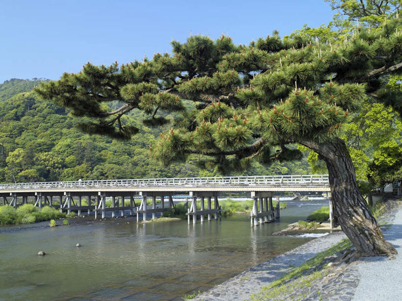 无人,栏杆,横图,室外,白天,正面,旅游,度假,草地,草坪,河流,美景,森林,山,山脉,树林,水,植物,大桥,立交桥,桥梁,京都,日本,亚洲,阴影,光线,影子,河水,景观,山峰,水流,高架,围栏,斜拉桥,桥,山峦,娱乐,护栏,草,树,树木,蓝色,绿色,蓝天,天空,阳光,自然,群山,天,享受,休闲,景色,放松,京都府,生长,晴朗,成长,自然风光,东亚,本州,万里无云,本州岛,日本国,近畿地方,近畿,晴空,晴空万里,彩图