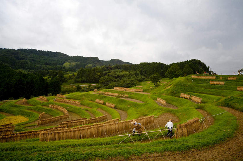 两个人,伙伴,朋友,农民,农田,站,横图,室外,白天,正面,旅游,度假,友谊,农业,庄稼,农作物,草地,草坪,美景,森林,山,山脉,树林,植物,日本,亚洲,弯腰,阴影,光线,影子,稻田,景观,山峰,云,云朵,山峦,千叶县,云彩,娱乐,草,树,树木,蓝色,绿色,白云,蓝天,天空,阳光,自然,群山,天,站着,享受,休闲,景色,放松,生长,成长,自然风光,东亚,本州,关东地方,本州岛,日本国,弯身,千叶,友情,男人,男性,年轻男性,佃农,农场主,农夫,农工,乡下人,小农,庄稼人,站立,彩图,全身,耕地,庄稼田