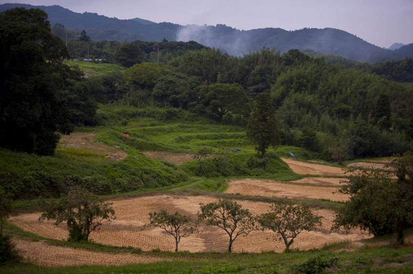 无人,农田,横图,室外,白天,正面,旅游,度假,农业,庄稼,梯田,农作物,草地,草坪,美景,森林,山,山脉,树林,植物,雾,日本,亚洲,阴影,朦胧,模糊,光线,影子,稻田,景观,山峰,云,云朵,山峦,千叶县,云彩,娱乐,草,树,树木,蓝色,绿色,白云,蓝天,天空,阳光,自然,群山,天,享受,休闲,景色,放松,生长,成长,迷雾,自然风光,东亚,本州,关东地方,本州岛,日本国,千叶,大雾,彩图,耕地,庄稼田