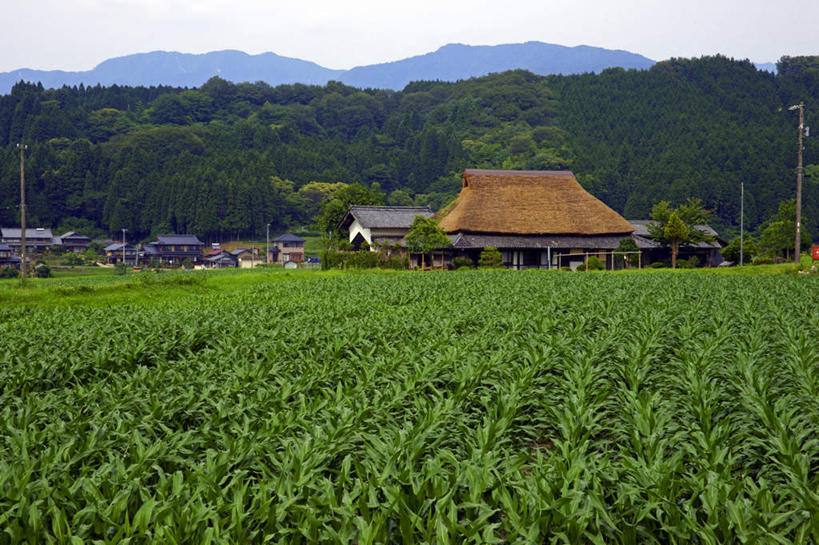 无人,家,农田,横图,室外,白天,正面,旅游,度假,庄稼,农作物,玉米,美景,山,山脉,日本,亚洲,电力,棒子,电线,电线杆,线,房屋,屋子,景观,山峰,玉蜀黍,电能,山峦,线路,娱乐,楼房,住宅,蓝色,蓝天,天空,自然,群山,天,享受,休闲,景色,放松,晴朗,电,电源,苞米,自然风光,苞芦,能量,东亚,苞谷,本州,万里无云,本州岛,日本国,中部地方,岐阜,岐阜县,包谷,大蜀黍,番麦,薏米包,玉高粱,玉麦,珍珠米,晴空,晴空万里,彩图,耕地,庄稼田,房子