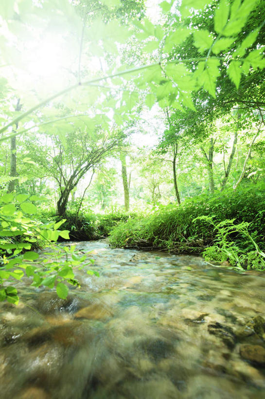 无人,竖图,室外,白天,正面,旅游,度假,草地,草坪,河流,美景,水,植物,日本,亚洲,阴影,光线,影子,河水,景观,水流,娱乐,草,树,树木,绿色,小溪,阳光,自然,溪水,享受,休闲,景色,放松,生长,成长,自然风光,东亚,本州,本州岛,日本国,中国地方,鸟取,鸟取县,彩图