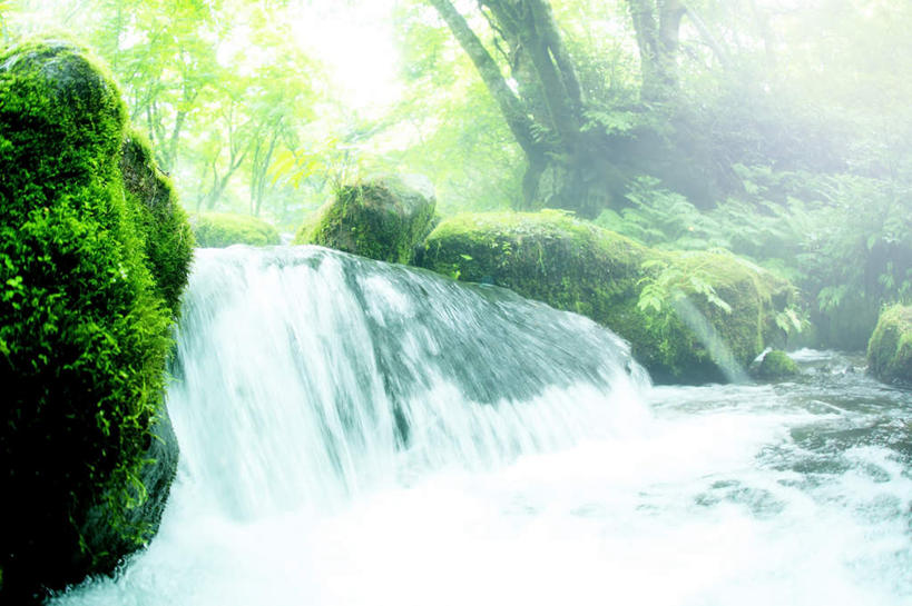 无人,横图,室外,白天,正面,长时间曝光,旅游,度假,河流,美景,森林,树林,水,植物,日本,亚洲,阴影,朦胧,模糊,光线,影子,河水,景观,水流,娱乐,树,树木,绿色,小溪,阳光,自然,溪水,享受,休闲,景色,放松,生长,成长,自然风光,东亚,本州,本州岛,日本国,中国地方,鸟取,鸟取县,彩图