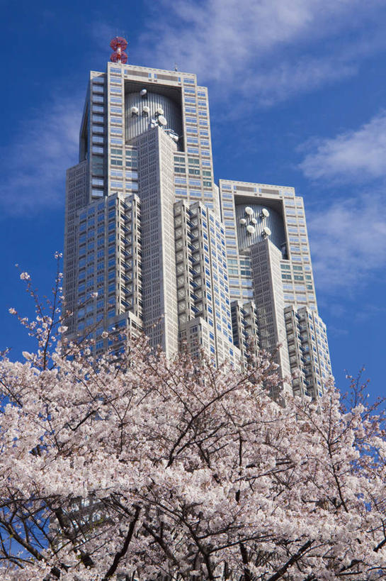 无人,高楼大厦,竖图,室外,白天,仰视,度假,幸福,纯洁,办公楼,花海,花圃,美景,植物,城市风光,标志建筑,城市,大厦,地标,建筑,摩天大楼,写字楼,樱花,叶子,东京,日本,许多,盛开,景观,云,云朵,新宿,花蕾,云彩,娱乐,建设,花,花瓣,花朵,花卉,鲜花,树,树木,粉色,蓝色,绿色,白云,蓝天,天空,自然,楼宇,花丛,花束,花田,天,花苞,花蕊,享受,休闲,商务楼,景色,放松,生长,晴朗,成长,等待,生命,东亚,本州,关东地方,本州岛,日本国,东京都,新宿区,仙樱花,福岛樱,青肤樱,高尚,县厅,东京市,热烈,晴空,荆桃,彩图,低角度拍摄,大楼,高层建筑,高楼,摩天楼