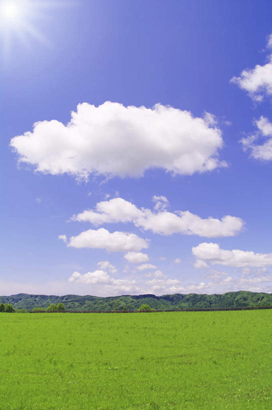 无人,农田,竖图,室外,白天,正面,旅游,度假,庄稼,农作物,草地,草坪,美景,植物,北海道,日本,亚洲,阴影,光线,影子,地平线,景观,云,云朵,辽阔,地面,云彩,娱乐,草,树,树木,蓝色,绿色,白云,蓝天,天空,阳光,自然,天,享受,休闲,广阔,景色,放松,生长,晴朗,成长,一望无际,自然风光,延伸,东亚,日本国,天地相交,北海道地方,北海道岛,无边无际,一马平川,晴空,彩图,耕地,庄稼田