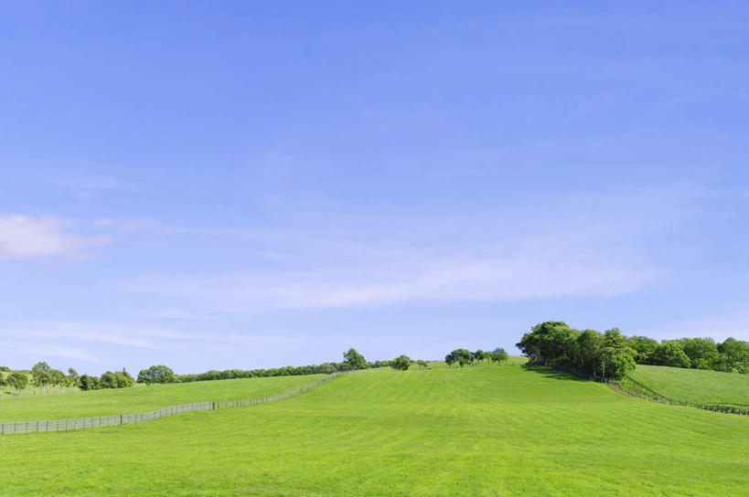 无人,农田,横图,室外,白天,正面,旅游,度假,庄稼,农作物,草地,草坪,美景,植物,北海道,日本,亚洲,阴影,光线,影子,地平线,景观,云,云朵,辽阔,地面,云彩,娱乐,草,树,树木,蓝色,绿色,白云,蓝天,天空,阳光,自然,天,享受,休闲,广阔,景色,放松,生长,晴朗,成长,一望无际,自然风光,延伸,东亚,日本国,天地相交,北海道地方,北海道岛,无边无际,一马平川,晴空,彩图,耕地,庄稼田