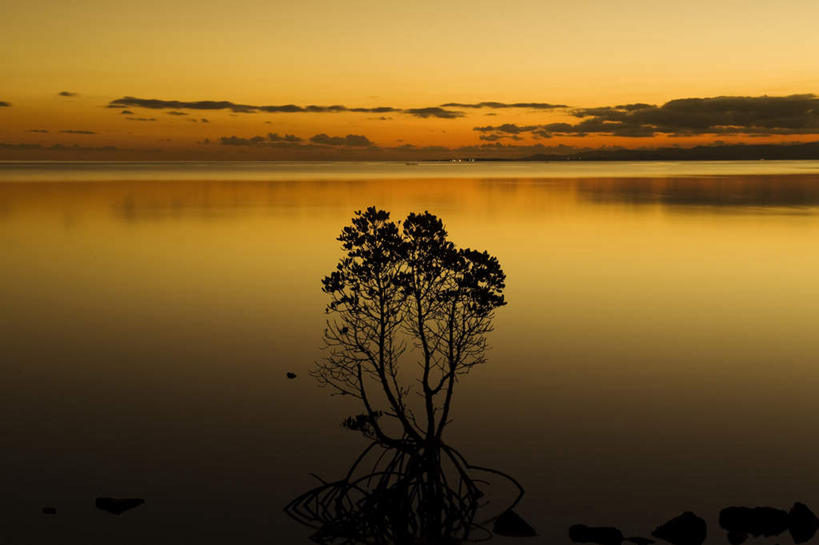 无人,横图,室外,白天,正面,旅游,度假,海浪,海洋,美景,日落,植物,日本,亚洲,景观,浪花,水平线,晚霞,霞光,云,云朵,辽阔,海平线,云彩,娱乐,冲绳,树,树木,蓝色,绿色,白云,蓝天,天空,自然,海水,黄昏,天,享受,休闲,广阔,景色,彩霞,放松,生长,晴朗,成长,一望无际,冲绳县,自然风光,海景,东亚,琉球群岛,日本国,九州地方,无边无际,一马平川,大海,风浪,海,海水的波动,近岸浪,涌浪,晴空,夕阳,彩图,水天相接,水天一线