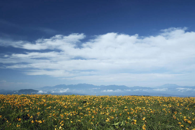 无人,横图,俯视,室外,白天,旅游,度假,石头,美景,山,山脉,植物,百合花,叶子,长野县,日本,亚洲,许多,盛开,石子,景观,山顶,山峰,云,云朵,绿叶,山峦,云彩,娱乐,花,花瓣,花朵,花卉,鲜花,黄色,蓝色,白云,蓝天,天空,自然,群山,天,花蕊,享受,休闲,嫩叶,景色,放松,晴朗,自然风光,东亚,沉积岩,本州,本州岛,日本国,中部地方,长野,强瞿,颠峰,极峰,水成岩,百合蒜,倒仙,番韭,山丹,叶,叶片,石块,岩石,晴空,彩图,高角度拍摄