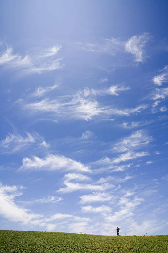 无人,竖图,室外,白天,正面,旅游,度假,草地,草坪,美景,植物,北海道,日本,亚洲,地平线,景观,云,云朵,辽阔,地面,云彩,娱乐,草,蓝色,绿色,白云,蓝天,天空,自然,天,享受,休闲,广阔,景色,放松,晴朗,一望无际,自然风光,延伸,东亚,日本国,天地相交,北海道地方,北海道岛,无边无际,一马平川,晴空,彩图