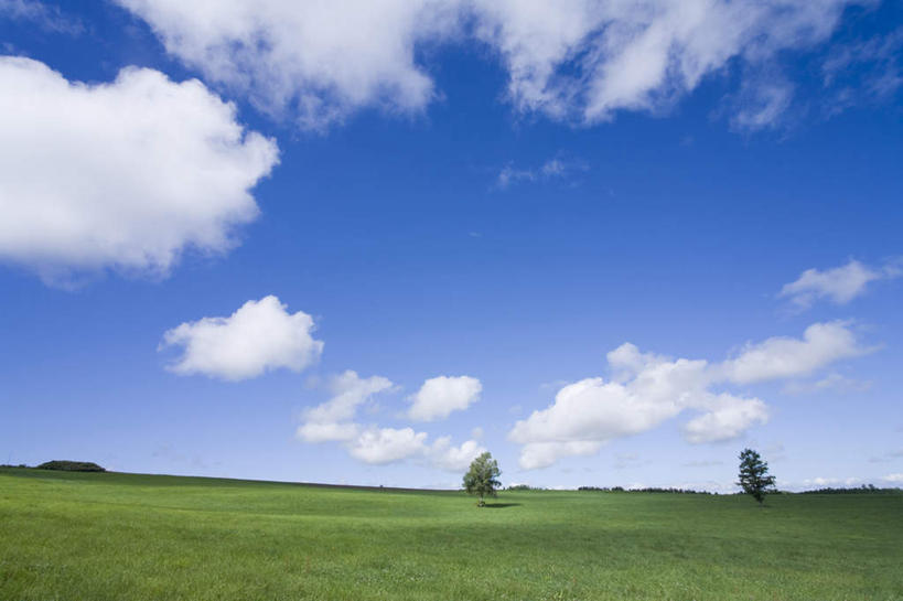 无人,横图,室外,白天,正面,旅游,度假,草地,草坪,美景,植物,北海道,日本,亚洲,地平线,景观,云,云朵,辽阔,地面,云彩,娱乐,草,树,树木,蓝色,绿色,白云,蓝天,天空,自然,天,享受,休闲,广阔,景色,放松,生长,晴朗,成长,一望无际,自然风光,延伸,东亚,日本国,天地相交,北海道地方,北海道岛,无边无际,一马平川,晴空,彩图