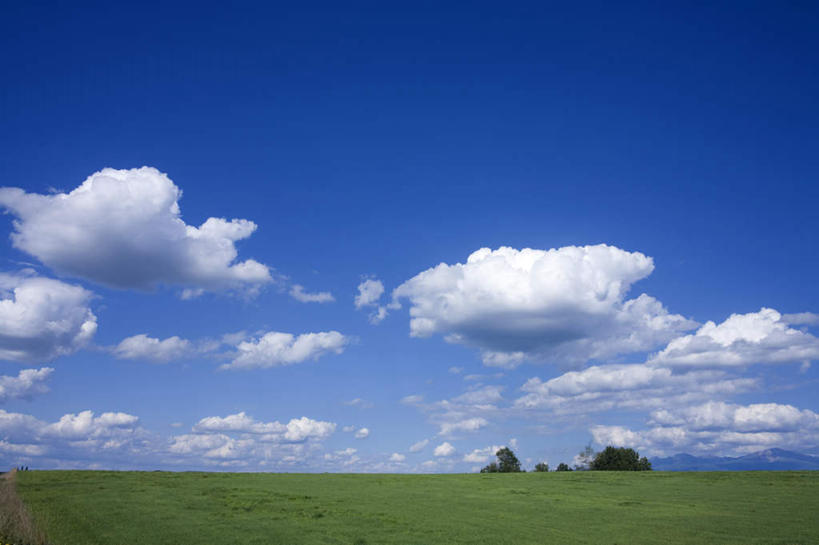 无人,横图,室外,白天,正面,旅游,度假,草地,草坪,美景,植物,北海道,日本,亚洲,地平线,景观,云,云朵,辽阔,地面,云彩,娱乐,草,树,树木,蓝色,绿色,白云,蓝天,天空,自然,天,享受,休闲,广阔,景色,放松,生长,晴朗,成长,一望无际,自然风光,延伸,东亚,日本国,天地相交,北海道地方,北海道岛,无边无际,一马平川,晴空,彩图