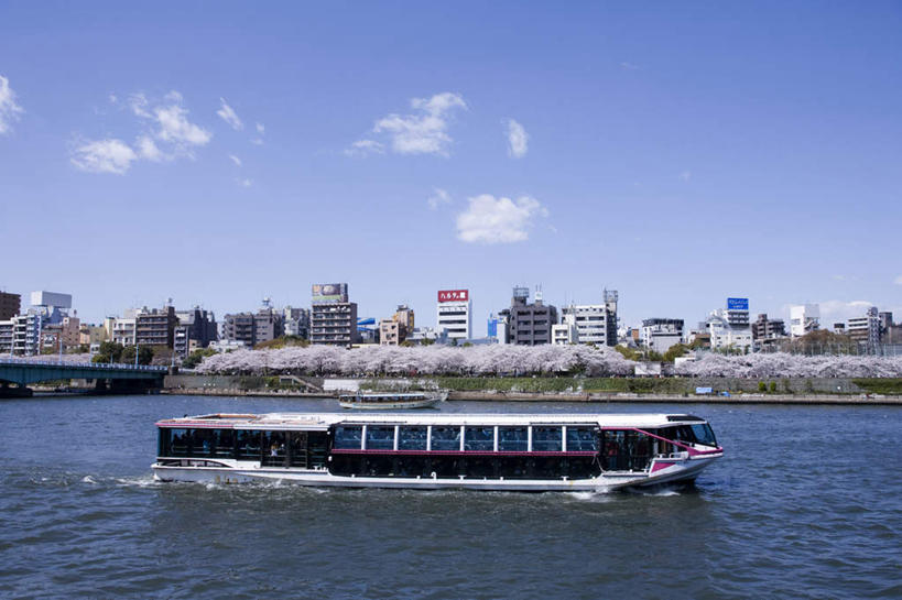 帆船,无人,横图,全景,室外,白天,正面,旅游,度假,幸福,纯洁,海浪,海洋,美景,天际线,植物,船,樱花,东京,日本,亚洲,一艘,许多,波纹,飞溅,盛开,溅,液体,景观,浪花,水滴,云,云朵,云彩,娱乐,水珠,花,花瓣,花朵,花卉,鲜花,树,树木,粉色,蓝色,绿色,白云,蓝天,水纹,天空,自然,海水,船尾波,交通工具,波浪,天,花蕊,享受,休闲,景色,放松,生长,晴朗,成长,等待,生命,喷洒,自然风光,载具,海景,东亚,本州,关东地方,本州岛,日本国,东京都,仙樱花,福岛樱,青肤樱,高尚,热烈,大海,风浪,海,海水的波动,近岸浪,涌浪,晴空,荆桃,彩图