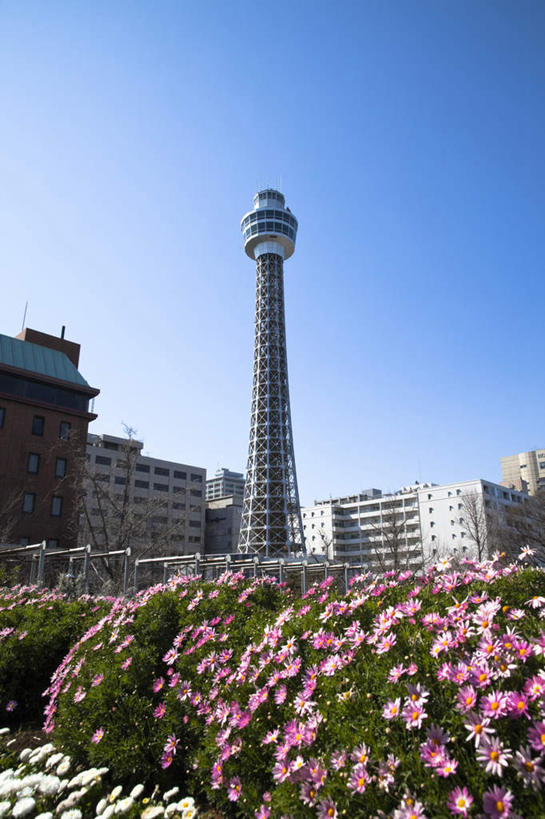 无人,高楼大厦,竖图,室外,白天,仰视,度假,快乐,幸福,办公楼,美景,天际线,植物,城市风光,标志建筑,城市,大厦,地标,建筑,摩天大楼,写字楼,叶子,神奈川,日本,亚洲,许多,阴影,盛开,光线,影子,景观,塔,绿叶,玛格丽特,横滨,横滨市,神奈川县,娱乐,建设,雏菊,花,花瓣,花朵,花卉,鲜花,粉色,蓝色,蓝天,天空,阳光,楼宇,天,花蕊,享受,休闲,嫩叶,商务楼,菊花,景色,放松,活力,晴朗,希望,坚强,和平,东亚,离别,本州,万里无云,首府,关东地方,本州岛,日本国,延命菊,幸福花,春菊,马兰头花,暗恋,纯情,单恋,天真,叶,叶片,晴空,晴空万里,彩图,低角度拍摄,愉快,大楼,高层建筑,高楼,摩天楼