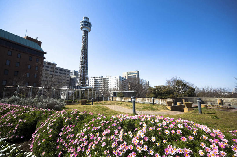 无人,高楼大厦,横图,全景,室外,白天,仰视,度假,快乐,幸福,办公楼,草地,草坪,美景,天际线,植物,城市风光,标志建筑,城市,大厦,地标,建筑,摩天大楼,写字楼,叶子,神奈川,日本,亚洲,许多,阴影,盛开,光线,影子,景观,塔,绿叶,玛格丽特,横滨,横滨市,神奈川县,娱乐,建设,草,雏菊,花,花瓣,花朵,花卉,鲜花,粉色,蓝色,蓝天,天空,阳光,楼宇,天,花蕊,享受,休闲,嫩叶,商务楼,菊花,景色,放松,活力,晴朗,希望,坚强,和平,东亚,离别,本州,万里无云,首府,关东地方,本州岛,日本国,延命菊,幸福花,春菊,马兰头花,暗恋,纯情,单恋,天真,叶,叶片,晴空,晴空万里,彩图,低角度拍摄,愉快,大楼,高层建筑,高楼,摩天楼