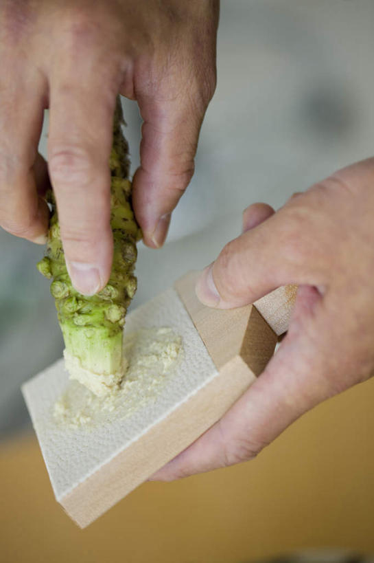 东方人,手,一个人,站,竖图,俯视,室内,特写,白天,蔬菜,亚洲,双手,仅一个男性,仅一个人,服装,朦胧,模糊,新鲜,食品,拿,拿着,注视,休闲装,黄种人,食物,一个,衣服,观察,看,站着,仅一个老年男性,休闲,手部,休闲服,服饰,有机食品,绿色食品,单个,观看,察看,关注,山葵,泽山葵,溪山葵,老年男性,男人,男性,亚洲人,站立,半身,彩图,高角度拍摄