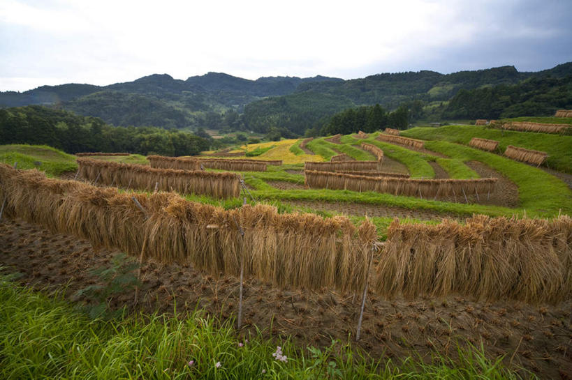 无人,农田,横图,室外,白天,正面,旅游,度假,农业,庄稼,农作物,草地,石头,美景,山,山脉,植物,日本,亚洲,许多,吊挂,悬挂,丰收,石子,稻田,景观,山顶,山峰,云,云朵,干草,山峦,千叶县,云彩,娱乐,草,树,树木,蓝色,绿色,白云,蓝天,天空,自然,群山,天,享受,休闲,景色,放松,生长,收获,晴朗,成长,自然风光,东亚,沉积岩,本州,关东地方,本州岛,日本国,千叶,颠峰,极峰,水成岩,石块,岩石,晴空,彩图,耕地,庄稼田
