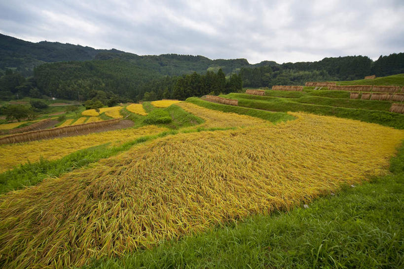 无人,农田,横图,室外,白天,正面,旅游,度假,庄稼,农作物,草地,石头,美景,山,山脉,植物,日本,亚洲,石子,景观,山顶,山峰,云,云朵,山峦,千叶县,云彩,娱乐,草,树,树木,蓝色,绿色,白云,蓝天,天空,自然,群山,天,享受,休闲,景色,放松,生长,晴朗,成长,自然风光,东亚,沉积岩,本州,关东地方,本州岛,日本国,千叶,颠峰,极峰,水成岩,石块,岩石,晴空,彩图,耕地,庄稼田