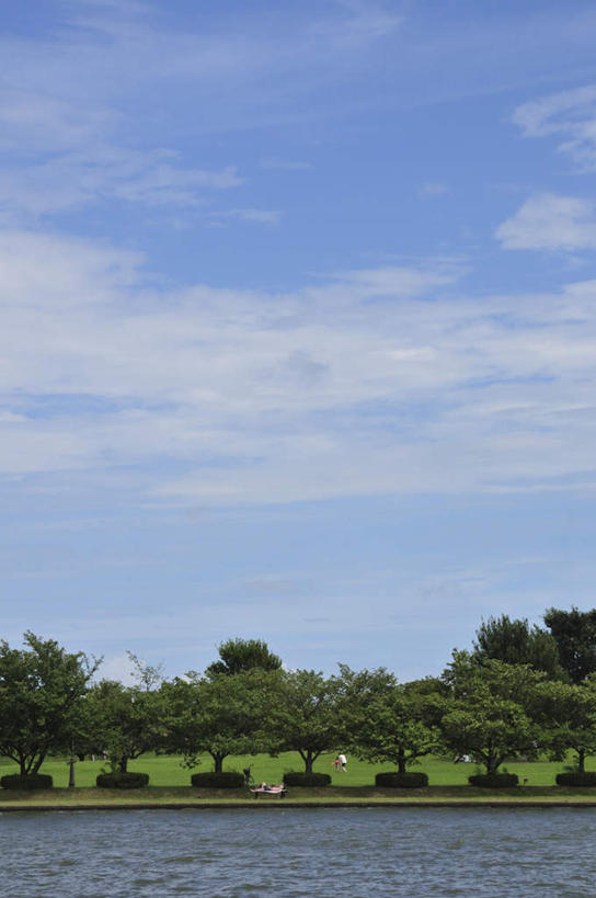 无人,竖图,室外,白天,正面,旅游,度假,草地,草坪,海浪,海洋,美景,植物,东京,日本,亚洲,一排,波纹,整齐,景观,浪花,云,云朵,涟漪,云彩,娱乐,草,树,树木,排列,蓝色,绿色,白云,蓝天,水纹,天空,自然,海水,波浪,天,享受,休闲,景色,放松,生长,晴朗,成长,队列,自然风光,海景,东亚,本州,关东地方,本州岛,日本国,东京都,水晕,大海,风浪,海,海水的波动,近岸浪,涌浪,晴空,彩图