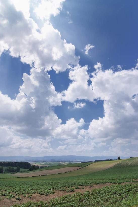 无人,农田,竖图,室外,白天,正面,旅游,度假,庄稼,农作物,草地,草坪,美景,植物,北海道,日本,亚洲,一堆,阴影,堆叠,堆积,光线,影子,景观,云,云朵,云彩,娱乐,草,树,树木,蓝色,绿色,白云,蓝天,天空,阳光,自然,天,享受,休闲,景色,放松,生长,成长,堆,自然风光,东亚,日本国,北海道地方,北海道岛,彩图,耕地,庄稼田