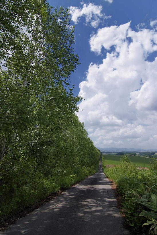 无人,竖图,室外,白天,正面,旅游,度假,草地,草坪,美景,植物,道路,路,北海道,日本,亚洲,一堆,阴影,堆叠,堆积,光线,影子,景观,云,云朵,小路,交通,云彩,娱乐,草,树,树木,蓝色,绿色,白云,蓝天,天空,阳光,自然,天,享受,休闲,景色,放松,遮,遮掩,乡间小路,生长,成长,堆,掩盖,遮挡,自然风光,东亚,遮盖,日本国,北海道地方,北海道岛,掩饰,彩图
