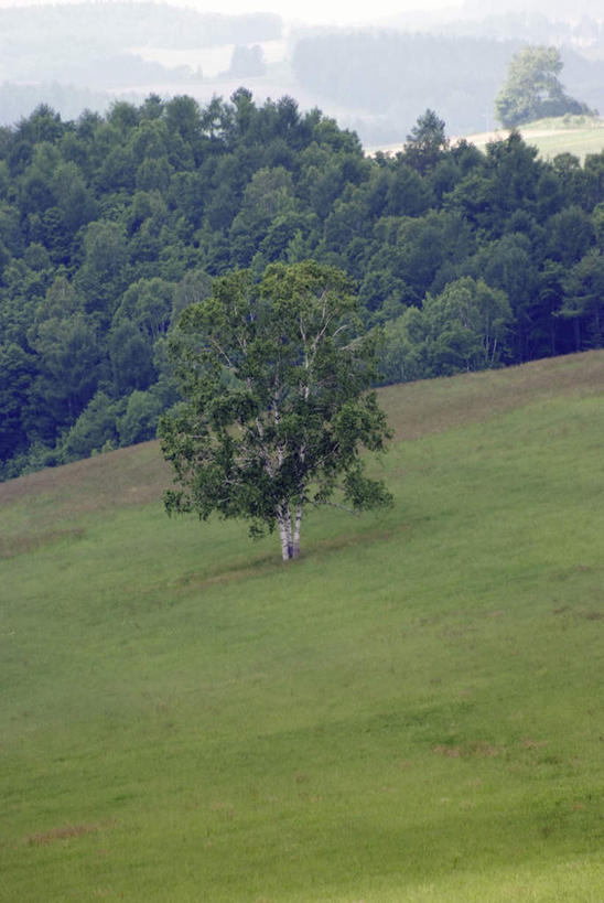 无人,竖图,俯视,室外,白天,旅游,度假,草地,草坪,美景,山,山脉,植物,北海道,日本,亚洲,一堆,阴影,堆叠,堆积,光线,影子,景观,山峰,云,云朵,山峦,云彩,娱乐,草,树,树木,蓝色,绿色,白云,蓝天,天空,阳光,自然,群山,天,享受,休闲,景色,放松,生长,成长,堆,自然风光,东亚,日本国,北海道地方,北海道岛,彩图,高角度拍摄