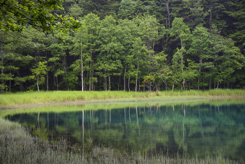 无人,横图,俯视,室外,白天,旅游,度假,草地,草坪,湖,湖泊,美景,水,植物,北海道,日本,亚洲,阴影,光线,影子,湖面,景观,水流,水面,娱乐,草,树,树木,绿色,倒影,阳光,自然,湖水,享受,休闲,景色,放松,生长,成长,倒映,自然风光,东亚,日本国,北海道地方,北海道岛,反照,彩图,高角度拍摄