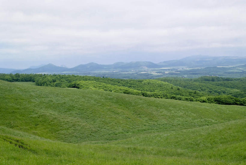 无人,农田,横图,俯视,室外,白天,旅游,度假,庄稼,农作物,草地,草坪,美景,植物,道路,路,北海道,日本,亚洲,一堆,阴影,堆叠,堆积,光线,影子,景观,云,云朵,小路,交通,云彩,娱乐,草,树,树木,蓝色,绿色,白云,蓝天,天空,阳光,自然,天,享受,休闲,景色,放松,乡间小路,生长,成长,堆,自然风光,东亚,日本国,北海道地方,北海道岛,彩图,高角度拍摄,耕地,庄稼田