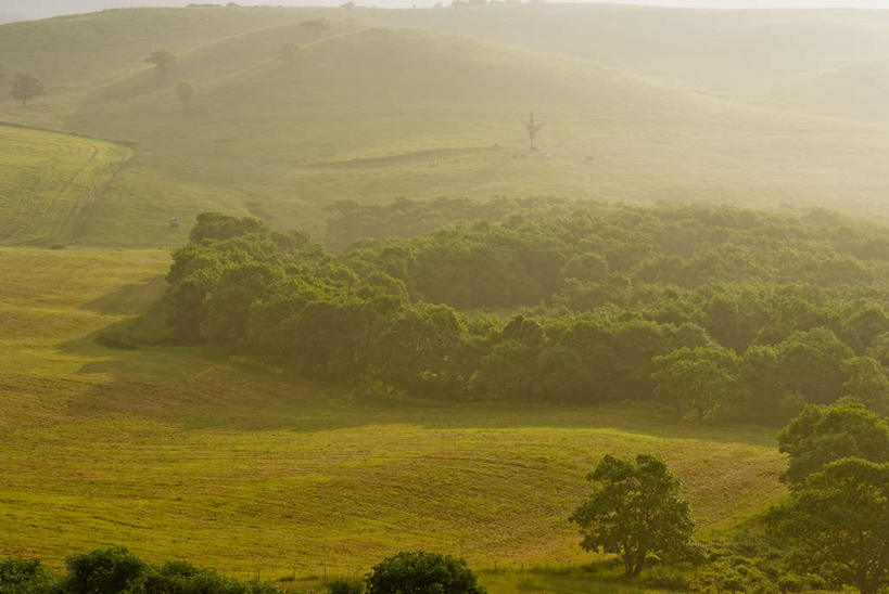 无人,农田,横图,俯视,室外,白天,旅游,度假,庄稼,农作物,草地,草坪,美景,山,山脉,植物,北海道,日本,亚洲,阴影,光线,影子,景观,山峰,山峦,娱乐,草,树,树木,蓝色,绿色,蓝天,天空,阳光,自然,群山,天,享受,休闲,景色,放松,生长,成长,自然风光,东亚,日本国,北海道地方,北海道岛,彩图,高角度拍摄,耕地,庄稼田