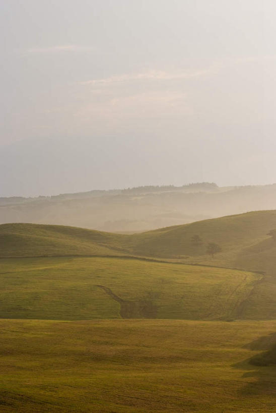 无人,农田,竖图,室外,白天,正面,旅游,度假,庄稼,农作物,草地,草坪,美景,山,山脉,植物,北海道,日本,亚洲,阴影,光线,影子,景观,山峰,云,云朵,山峦,云彩,娱乐,草,树,树木,蓝色,绿色,白云,蓝天,天空,阳光,自然,群山,天,享受,休闲,景色,放松,生长,成长,自然风光,东亚,日本国,北海道地方,北海道岛,彩图,耕地,庄稼田