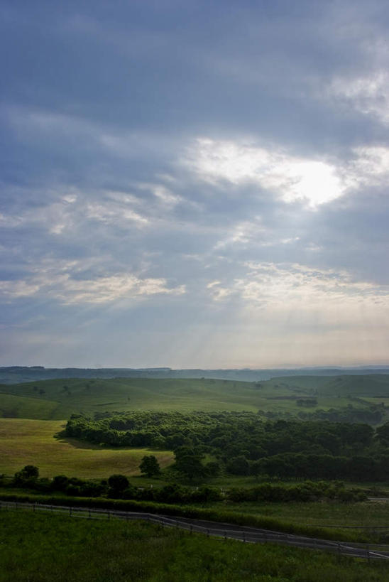 无人,农田,竖图,室外,白天,正面,旅游,度假,庄稼,农作物,草地,草坪,美景,植物,道路,路,北海道,日本,亚洲,一堆,阴影,堆叠,堆积,光线,影子,景观,云,云朵,小路,交通,云彩,娱乐,草,树,树木,蓝色,绿色,白云,蓝天,天空,阳光,自然,天,享受,休闲,景色,放松,遮,遮掩,乡间小路,生长,成长,堆,掩盖,遮挡,自然风光,东亚,遮盖,日本国,北海道地方,北海道岛,掩饰,彩图,耕地,庄稼田