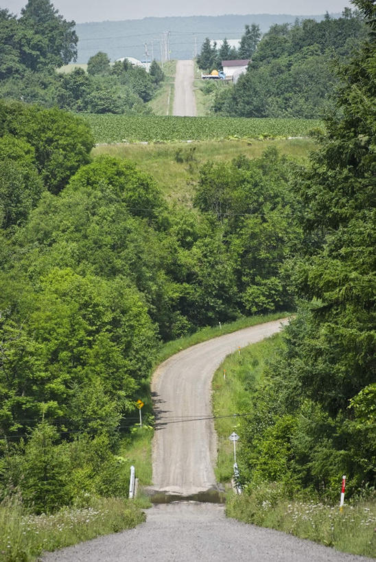 无人,竖图,俯视,室外,白天,旅游,度假,草地,草坪,美景,植物,道路,路,北海道,日本,亚洲,阴影,光线,影子,景观,小路,交通,娱乐,草,树,树木,蓝色,绿色,蓝天,天空,阳光,自然,天,享受,休闲,景色,放松,乡间小路,生长,成长,自然风光,东亚,日本国,北海道地方,北海道岛,彩图,高角度拍摄