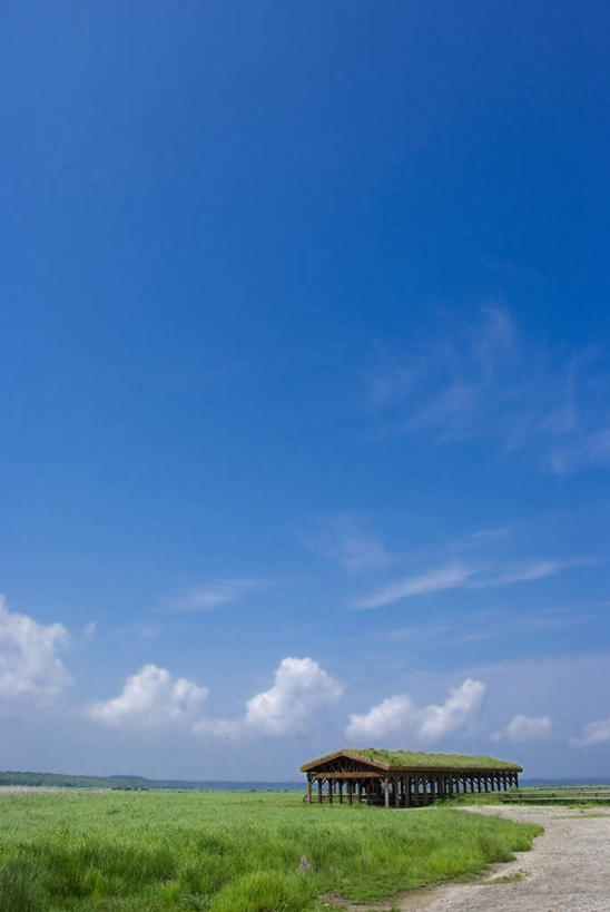 无人,家,农田,竖图,室外,白天,正面,旅游,度假,庄稼,农作物,草地,草坪,美景,植物,道路,路,北海道,日本,亚洲,阴影,光线,影子,房屋,屋子,景观,云,云朵,小路,交通,云彩,娱乐,楼房,住宅,草,树,树木,蓝色,绿色,白云,蓝天,天空,阳光,自然,天,享受,休闲,景色,放松,乡间小路,生长,成长,自然风光,东亚,日本国,北海道地方,北海道岛,彩图,耕地,庄稼田,房子