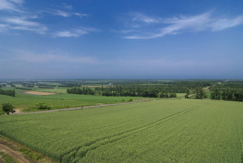 无人,农田,横图,俯视,室外,白天,旅游,度假,庄稼,农作物,草地,草坪,美景,植物,道路,路,北海道,日本,亚洲,阴影,光线,影子,景观,云,云朵,小路,交通,云彩,娱乐,草,树,树木,蓝色,绿色,白云,蓝天,天空,阳光,自然,天,享受,休闲,景色,放松,乡间小路,生长,成长,自然风光,东亚,日本国,北海道地方,北海道岛,彩图,高角度拍摄,耕地,庄稼田