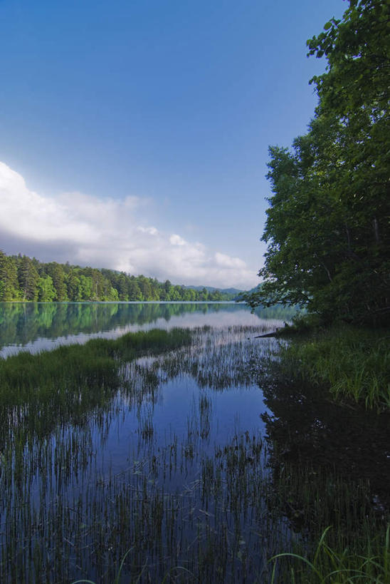无人,竖图,室外,白天,正面,旅游,度假,草地,草坪,湖,湖泊,美景,水,植物,北海道,日本,亚洲,阴影,光线,影子,湖面,景观,水流,水面,云,云朵,云彩,娱乐,草,树,树木,蓝色,绿色,白云,蓝天,天空,阳光,自然,湖水,天,享受,休闲,景色,放松,生长,成长,自然风光,东亚,日本国,北海道地方,北海道岛,彩图
