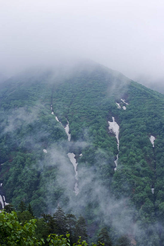 无人,竖图,俯视,航拍,室外,白天,旅游,度假,草地,草坪,美景,山,山脉,植物,雾,北海道,日本,亚洲,阴影,朦胧,模糊,光线,影子,景观,山峰,山峦,娱乐,草,树,树木,绿色,阳光,自然,群山,享受,休闲,景色,放松,生长,成长,迷雾,鸟瞰,自然风光,东亚,日本国,北海道地方,北海道岛,大雾,彩图,高角度拍摄