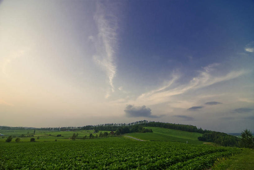 无人,农田,横图,俯视,室外,白天,旅游,度假,庄稼,农作物,草地,草坪,美景,日落,山,山脉,植物,蔬菜,北海道,日本,亚洲,阴影,新鲜,光线,影子,景观,山峰,晚霞,霞光,云,云朵,落日,食品,山峦,云彩,娱乐,草,树,树木,食物,蓝色,绿色,白云,蓝天,天空,阳光,自然,黄昏,群山,天,享受,休闲,景色,彩霞,放松,有机食品,绿色食品,生长,成长,自然风光,东亚,日本国,北海道地方,北海道岛,夕照,夕阳,彩图,高角度拍摄,耕地,庄稼田,斜阳