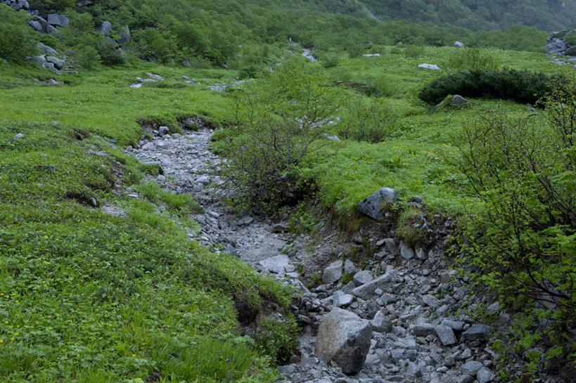 无人,横图,俯视,室外,白天,旅游,度假,草地,草坪,美景,山,山脉,植物,道路,路,长野县,日本,亚洲,阴影,反射,影子,景观,山峰,小路,交通,山峦,娱乐,草,树,树木,绿色,自然,群山,享受,休闲,景色,放松,乡间小路,生长,成长,自然风光,东亚,本州,本州岛,日本国,中部地方,长野,彩图,高角度拍摄