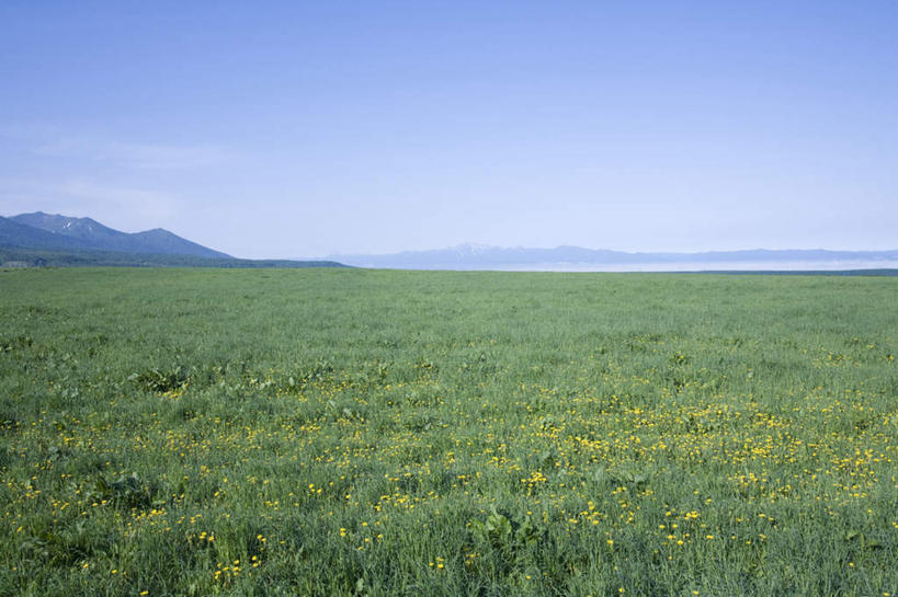 无人,农田,横图,俯视,室外,白天,旅游,度假,庄稼,农作物,草地,草坪,美景,山,山脉,植物,北海道,日本,亚洲,阴影,光线,影子,景观,山峰,云,云朵,山峦,云彩,娱乐,草,蓝色,绿色,白云,蓝天,天空,阳光,自然,群山,天,享受,休闲,景色,放松,自然风光,东亚,日本国,北海道地方,北海道岛,彩图,高角度拍摄,耕地,庄稼田