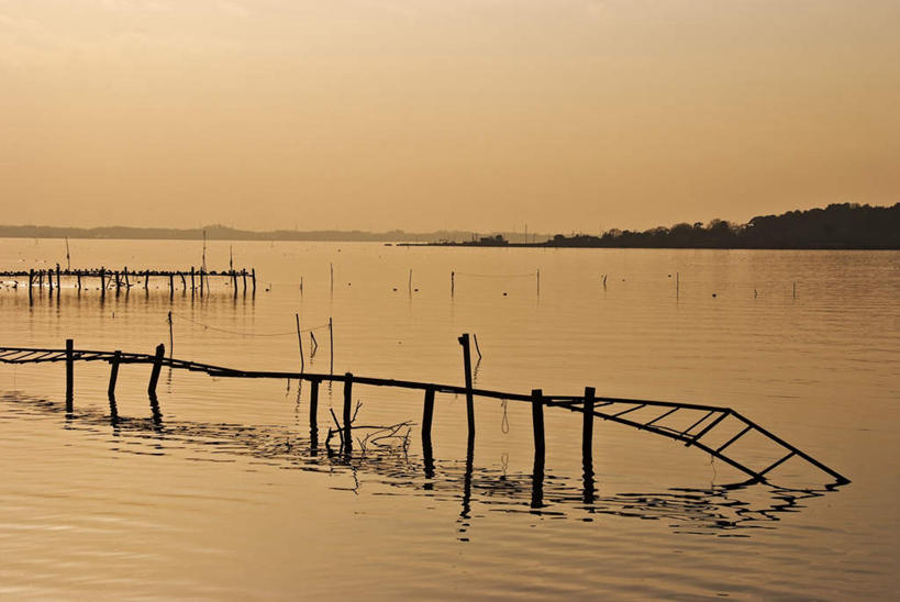 无人,栏杆,横图,俯视,室外,白天,旅游,度假,草地,草坪,湖,湖泊,美景,山,山脉,水,植物,日本,亚洲,湖面,景观,山峰,水流,水面,围栏,山峦,娱乐,护栏,草,树,树木,绿色,天空,自然,湖水,群山,天,享受,休闲,金色,景色,放松,生长,成长,自然风光,东亚,本州,茨城,茨城县,关东地方,本州岛,日本国,彩图,高角度拍摄