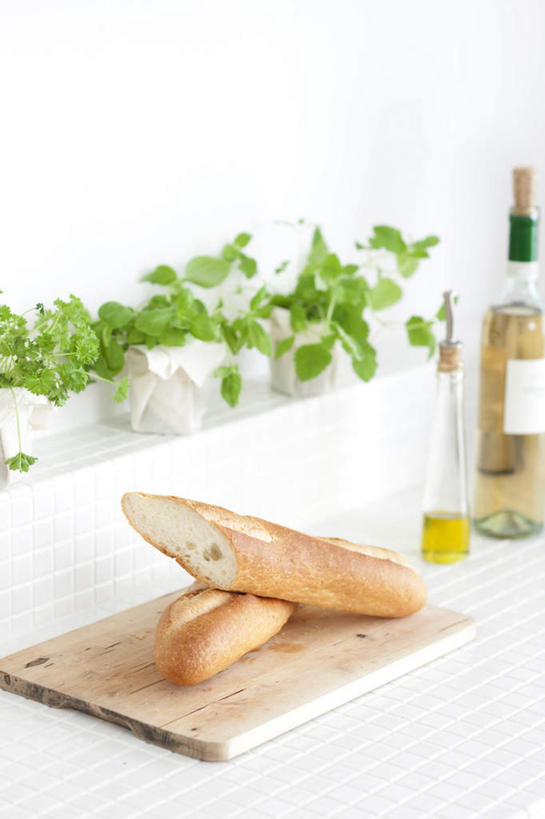 点心,面包,无人,竖图,俯视,室内,白天,植物,桌面,一块,阴影,光线,盆栽,影子,墙,食品,面点,案板,盆景,墙壁,墙面,玻璃制品,酒瓶,砧板,食物,糕点,两个,绿色,阳光,自然,玻璃瓶,瓶子,生长,成长,一瓶,彩图,高角度拍摄