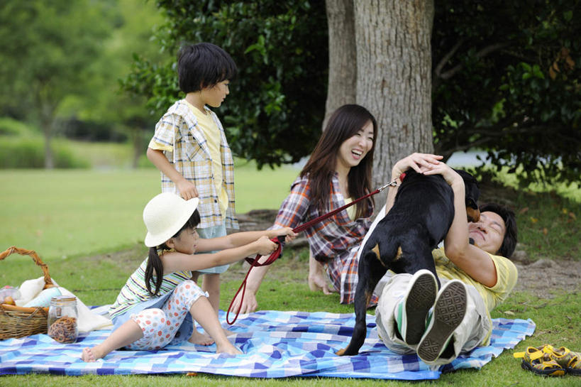 东方人,儿童,头发,四个人,家庭,夫妻,站,坐,躺,笑,摸,微笑,露齿笑,横图,室外,白天,正面,爱情,聚会,旅游,度假,纯洁,草地,草坪,植物,帽子,亚洲,许多,抚摸,握,阴影,服装,光线,草帽,篮子,影子,坐垫,野餐,浪漫,拿,拿着,扭头,注视,休闲装,黄种人,娱乐,手叉腰,草,树,树木,小孩,衣服,黄色,绿色,白色,黑色,阳光,自然,叉腰,观察,看,站着,张嘴,转头,享受,休闲,温暖,温馨,一家人,休闲服,恩爱,放松,可爱,童年,童趣,握着,恋人,服饰,生长,成长,观看,和睦,察看,双手叉腰,关注,张大嘴巴,童真,烂漫,无邪,野餐垫,野餐地毯,多功能毯,一顶,食物篮,野炊,卧着,天真,男孩,男人,男性,年轻男性,年轻女性,女孩,女人,女性,亚洲人,孩子,长发,夫妇,情侣,张开嘴,触摸,接触,躺着,卧,站立,坐着,彩图,全身,伴侣,融洽,野餐篮,男生,女生