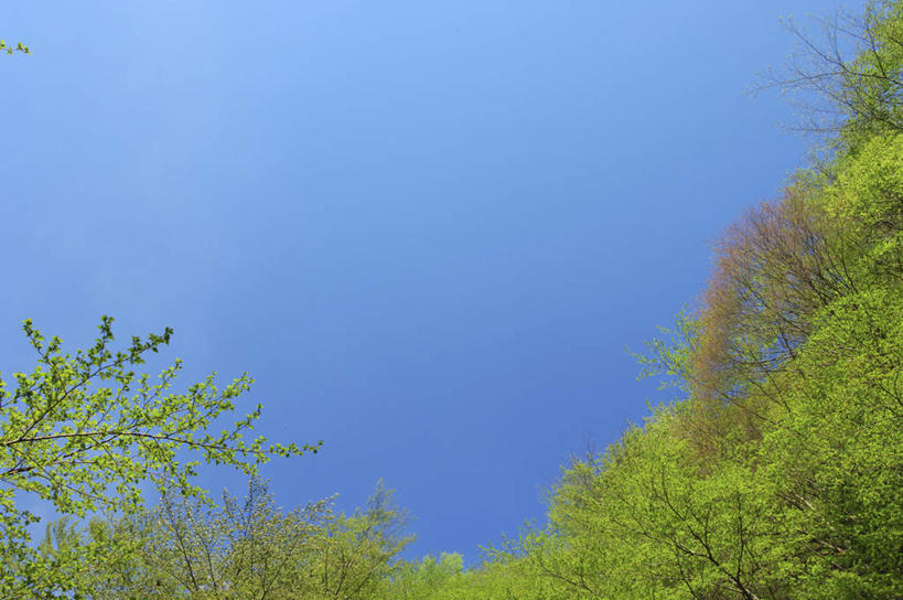 无人,横图,室外,白天,仰视,旅游,度假,草地,草坪,美景,山,山脉,植物,神奈川,日本,亚洲,阴影,光线,影子,景观,山峰,山峦,神奈川县,娱乐,草,树,树木,蓝色,绿色,蓝天,天空,阳光,自然,群山,天,享受,休闲,景色,放松,生长,晴朗,成长,自然风光,东亚,本州,万里无云,关东地方,本州岛,日本国,晴空,晴空万里,彩图,低角度拍摄