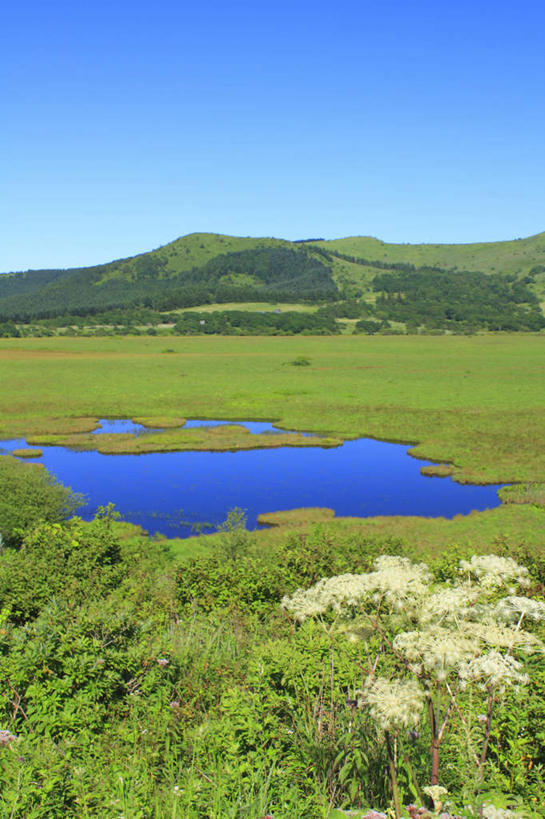 无人,竖图,俯视,室外,白天,旅游,度假,草地,草坪,河流,美景,山,山脉,水,植物,长野县,日本,亚洲,阴影,盛开,光线,影子,河水,景观,山峰,水流,云,云朵,山峦,花蕾,云彩,娱乐,草,花,花瓣,花朵,鲜花,树,树木,蓝色,绿色,白色,白云,蓝天,天空,阳光,自然,群山,天,花苞,花蕊,享受,休闲,景色,放松,生长,成长,自然风光,东亚,本州,本州岛,日本国,中部地方,长野,彩图,高角度拍摄