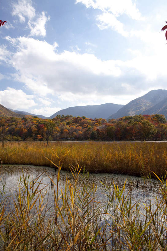 无人,农田,竖图,室外,白天,正面,旅游,度假,庄稼,农作物,草地,草坪,河流,美景,山,山脉,水,植物,芦苇,叶子,日本,亚洲,河水,景观,山峰,水流,云,云朵,粽叶,绿叶,山峦,云彩,娱乐,草,树,树木,蓝色,绿色,白云,蓝天,天空,自然,群山,天,享受,休闲,嫩叶,景色,放松,生长,成长,自然风光,东亚,本州,本州岛,日本国,东北地方,福岛,福岛县,箬叶,芦苇叶,叶,叶片,彩图,耕地,庄稼田