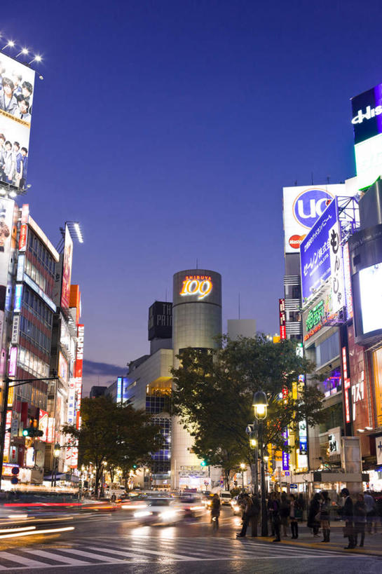 无人,高楼大厦,商店,竖图,室外,夜晚,仰视,购物,度假,消费,草地,草坪,美景,植物,城市风光,超市,城市,大厦,道路,建筑,路,路灯,摩天大楼,人行横道,公路,汽车,照明,东京,日本,亚洲,阴影,反射,影子,景观,人行道,灯光,交通,娱乐,车,灯,草,树,树木,蓝色,绿色,蓝天,天空,自然,交通工具,轿车,天,享受,休闲,景色,放松,金融,百货,生长,成长,照亮,照明设备,载具,人行横道线,选购,贸易,百货公司,东亚,本州,关东地方,本州岛,日本国,东京都,血拼,斑马线,马路,彩图,低角度拍摄,大楼,高层建筑,高楼,购物商场,购物中心,摩天楼,商业中心